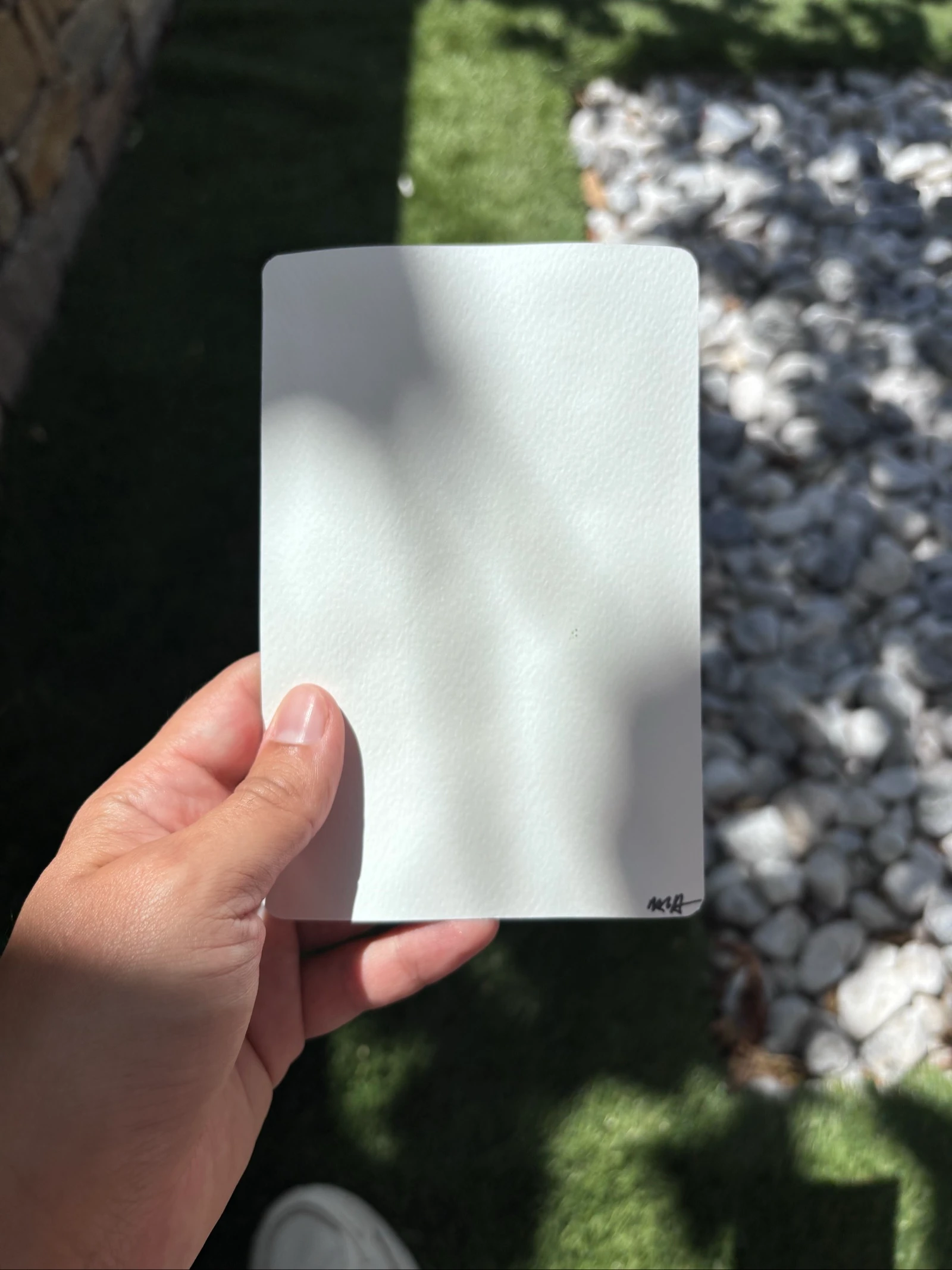 Aquarelle carte campos de flores abricó – photo 3
